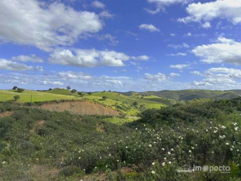 Herdade 45 ha, Corte Pinto-Mertola