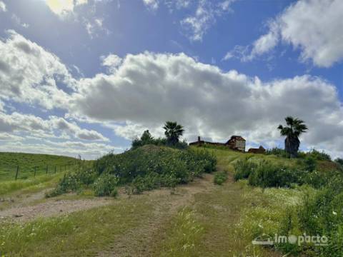 Herdade 45 ha, Corte Pinto-Mertola