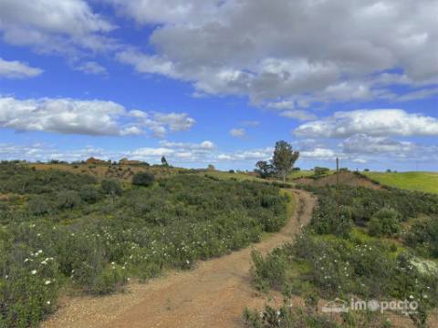 Herdade 45 ha, Corte Pinto-Mertola