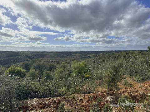 Herdade 45 ha, Corte Pinto-Mertola