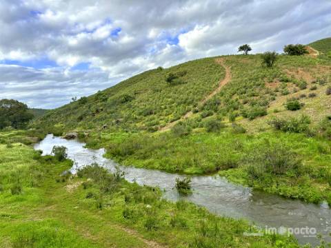 Herdade 45 ha, Corte Pinto-Mertola
