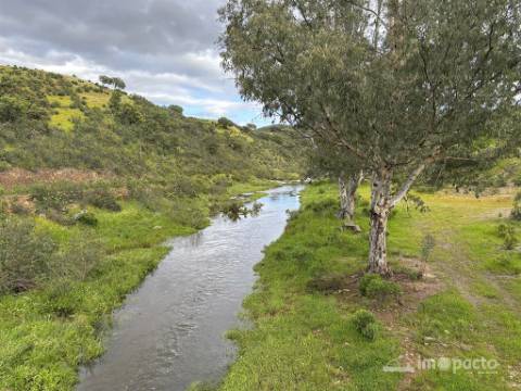 Herdade 45 ha, Corte Pinto-Mertola