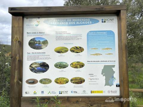 Herdade 45 ha, Corte Pinto-Mertola