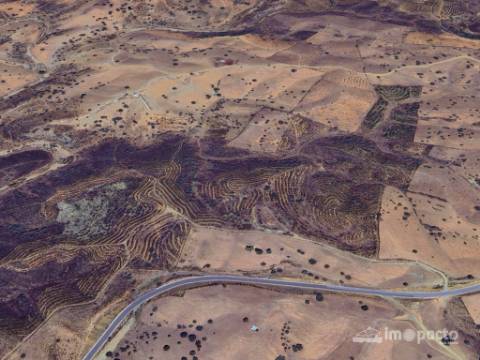 Herdade 45 ha, Corte Pinto-Mertola