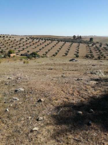 Moinho Antigo, Baleizao -Beja