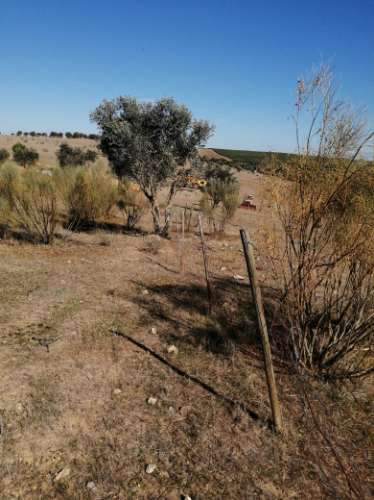 Moinho Antigo, Baleizao -Beja