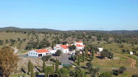 HERDADE COM MONTE, TORRÃO