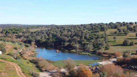HERDADE COM MONTE, TORRÃO