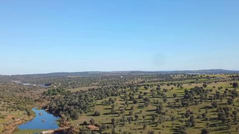 HERDADE COM MONTE, TORRÃO