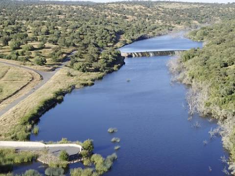 HERDADE COM MONTE, TORRAO