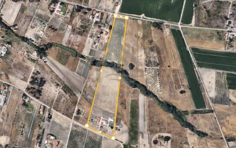 Quinta  4,5ha Poceirão