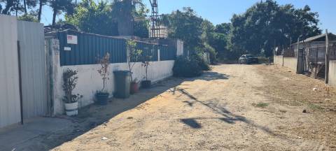 Lote de terreno c/ 448 m2, em avos , localizado na freguesia de S. Simão em zona de pinhal c/ vista sobre a Serra da Arrábida | Zona em franca expansão e desenvolvimento | Possibilidade de Permuta
