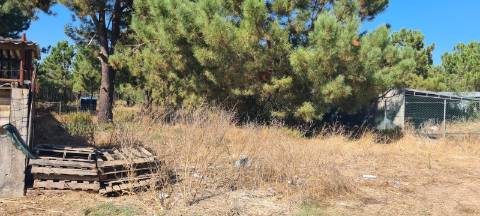 Lote de terreno c/ 448 m2, em avos , localizado na freguesia de S. Simão em zona de pinhal c/ vista sobre a Serra da Arrábida | Zona em franca expansão e desenvolvimento | Possibilidade de Permuta
