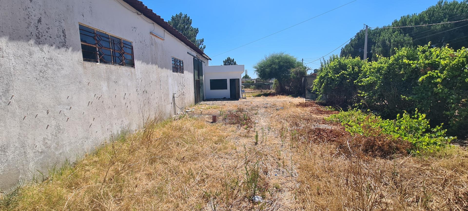 Armazém amplo c/ 350 m2 | Instação p/ escritorio/ residência | Logradouro | Furo | Vedado | Zona c/ excelentes acessibilidades