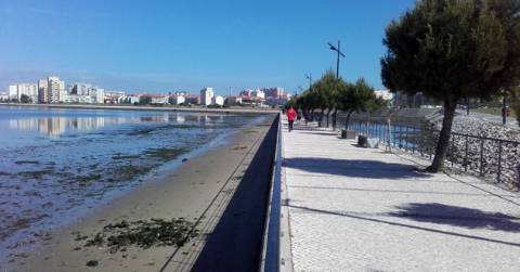 Andar T2 em bom estado de conservação | Prédio de qualidade c/ elevadores | Cozinha equipada | Junto à estação de barcos e comboios | Vistas Panorâmicas sobre o Rio e Cidade !!!
N.B.: Imóvel c/ Inquilino c/ Renda atualizada