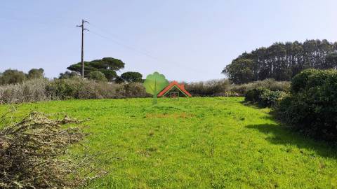  Terreno com pinhal em São João das Lampas 