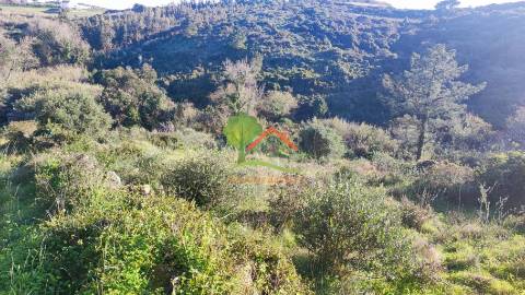  Terreno rústico perto da Praia de S. Julião 