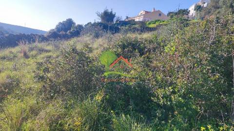  Terreno rústico perto da Praia de S. Julião 