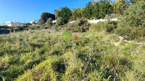  Terreno rústico perto da Praia de S. Julião 