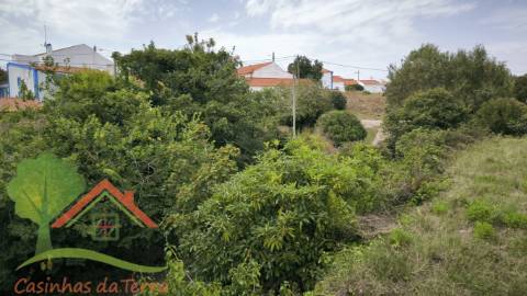  Terreno rústico perto de Catribana 