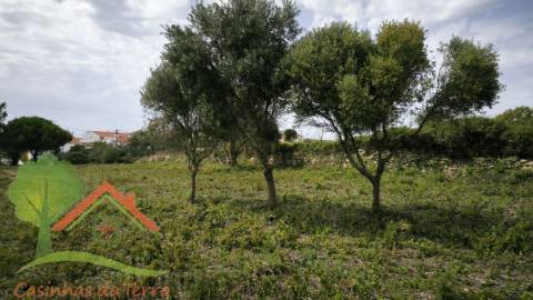  Terreno rústico perto de Catribana 