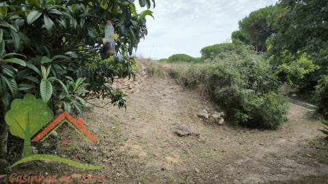  Terreno rústico perto de Catribana 