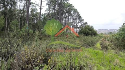  Terreno rústico com quintas em redor 