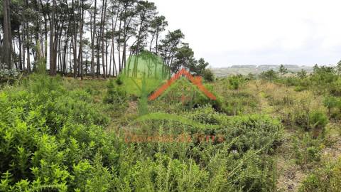  Terreno rústico com quintas em redor 