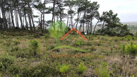  Terreno rústico com quintas em redor 