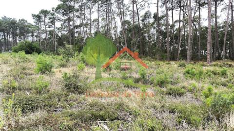  Terreno rústico com quintas em redor 