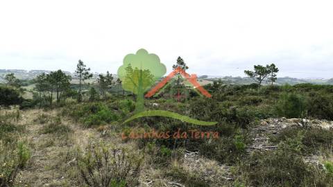  Terreno rústico com quintas em redor 