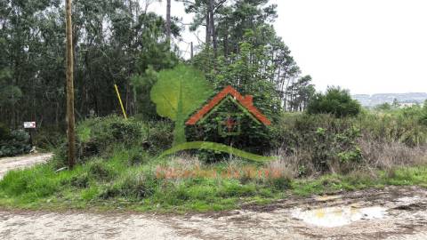  Terreno rústico com quintas em redor 