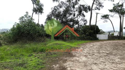  Terreno rústico com quintas em redor 