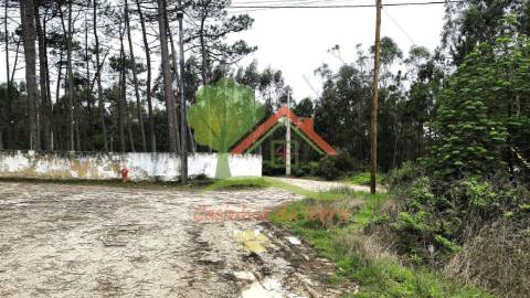  Terreno rústico com quintas em redor 