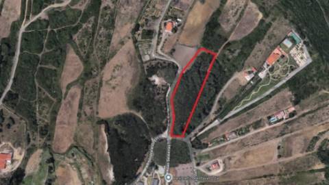  Terreno rústico com quintas em redor 