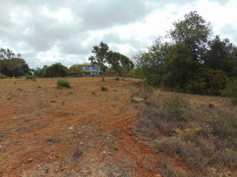 Terreno para construção em Almancil