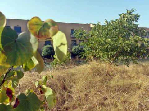 Terreno de 810m2, com viabilidade para construção de prédio de 24 apartamentos. - Campanhã