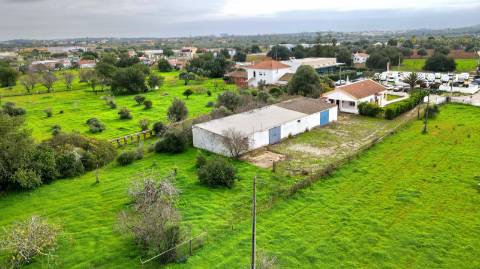 Moradia T3 Isolada com Armazém e amplo terreno