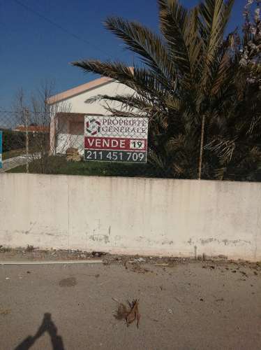 Moradia T3 Isolada com Armazém e amplo terreno