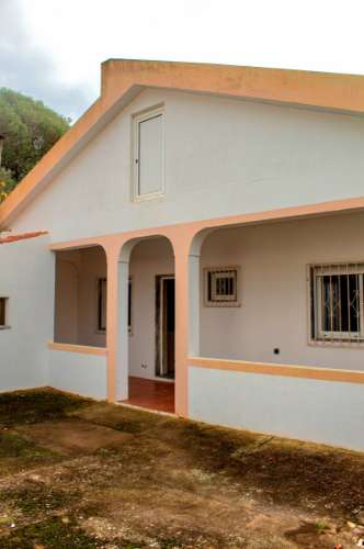 Moradia T3 Isolada com Armazém e amplo terreno