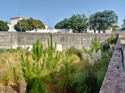 Terreno de gaveto com 1277m2, com viabilidade para prédio com mais de 24 frações. - Campanhã