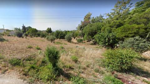 Terreno com projeto aprovado para construção de moradia em Loulé