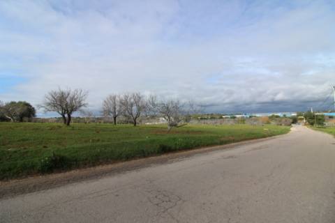 Terreno Rústico em Vale Verde, Guia, Albufeira