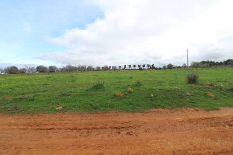 Terreno Rústico em Vale Verde, Guia, Albufeira