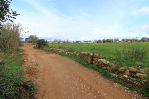 Terreno Rústico em Vale Verde, Guia, Albufeira