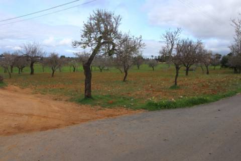 Terreno Rústico em Vale Verde, Guia, Albufeira