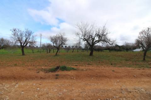 Terreno Rústico em Vale Verde, Guia, Albufeira