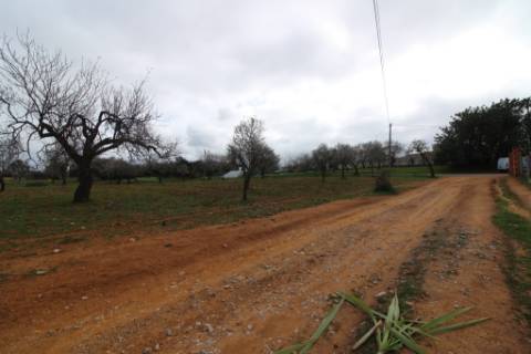 Terreno Rústico em Vale Verde, Guia, Albufeira