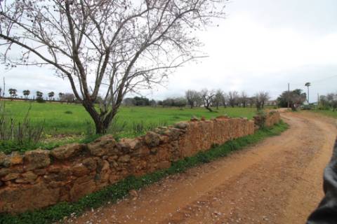 Terreno Rústico em Vale Verde, Guia, Albufeira