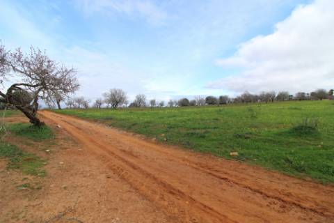 Terreno Rústico em Vale Verde, Guia, Albufeira